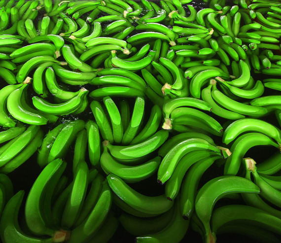 TotyBananas
