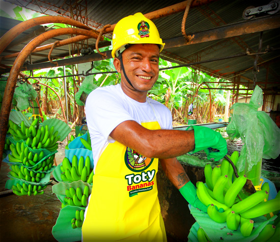 TotyBananas